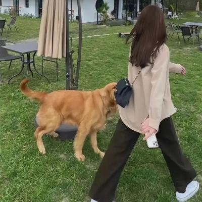 百合绽放
